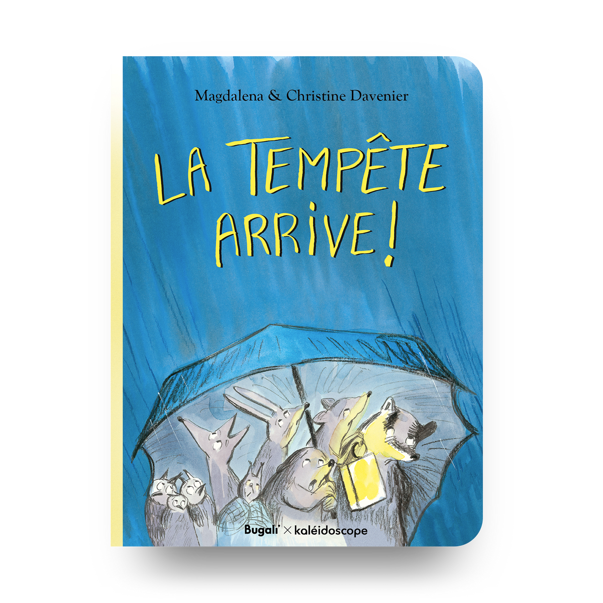 La tempête arrive !