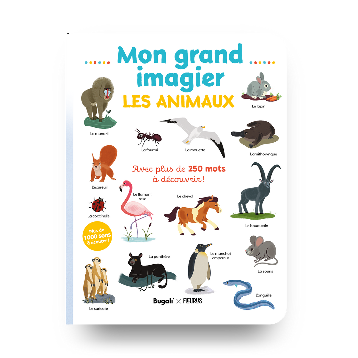 Mon grand imagier • les animaux