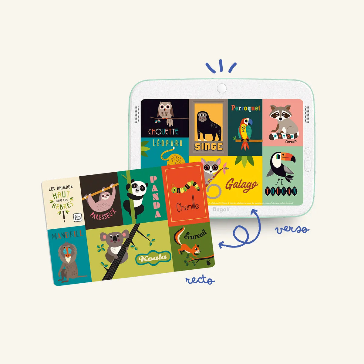 Pack Découverte Buga-cartes +3 ans