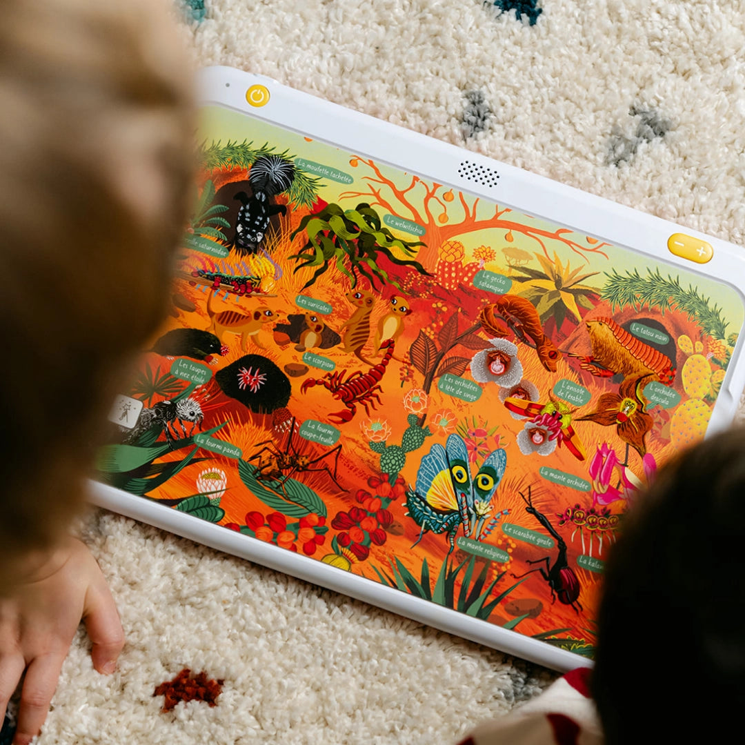 Coffret 5 cartes interactives Zoom ! (5+)