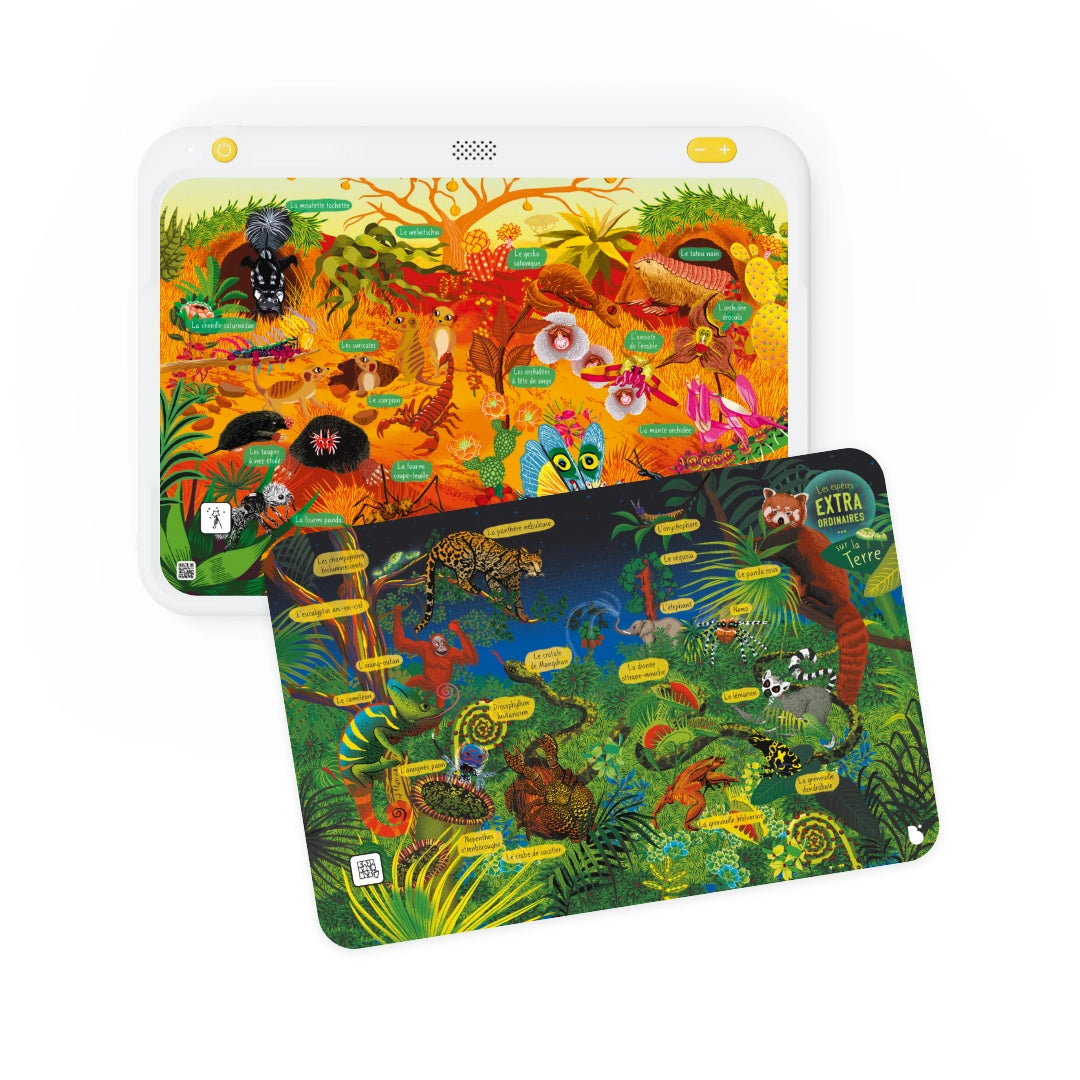 Coffret 5 cartes interactives Zoom ! (5+)