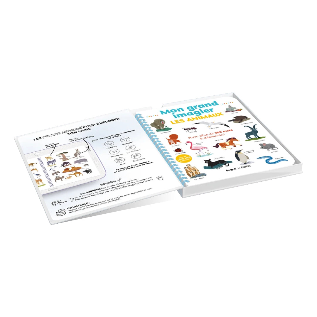 Mon grand imagier • les animaux